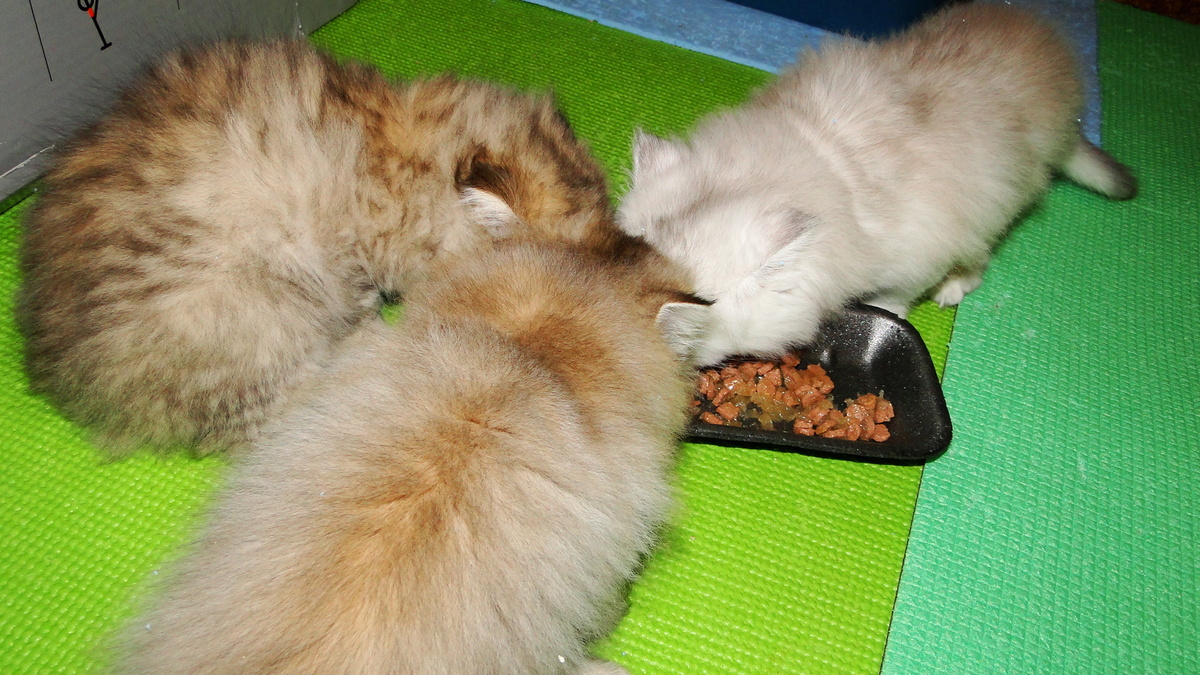 Фото из личного архива