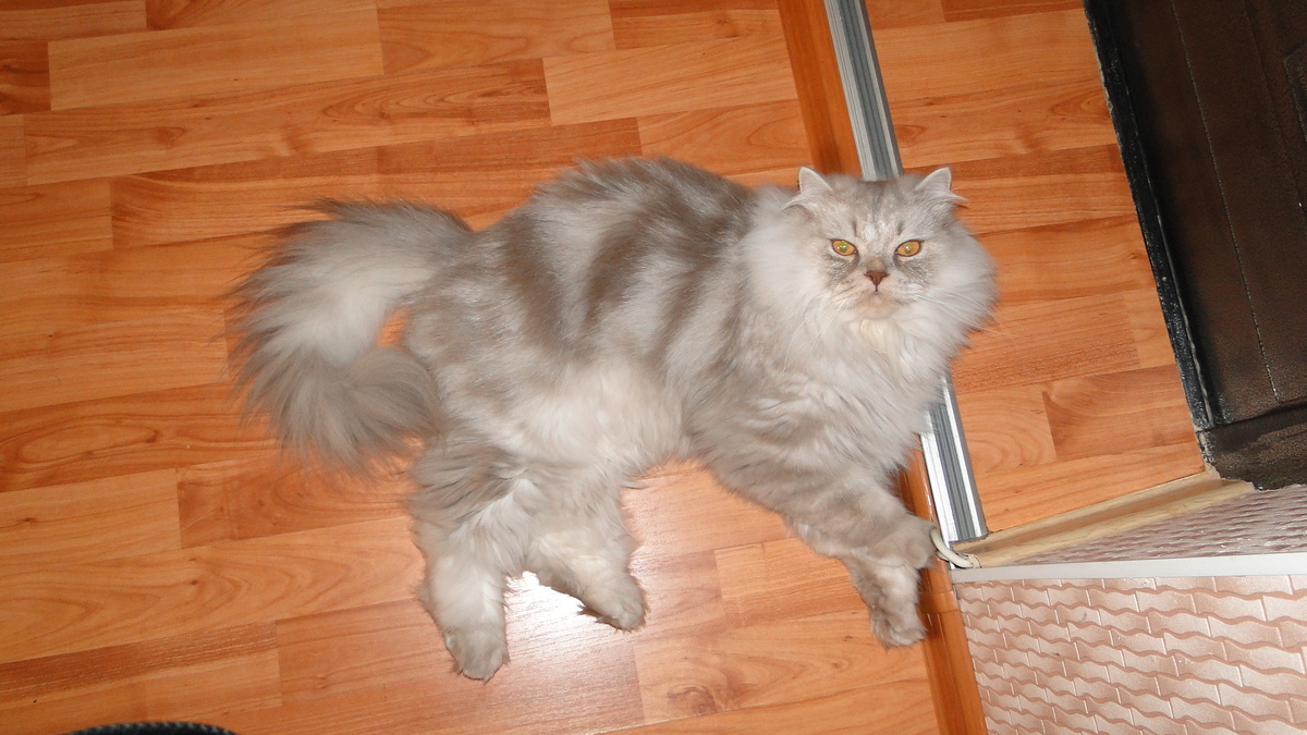 Фото из личного архива