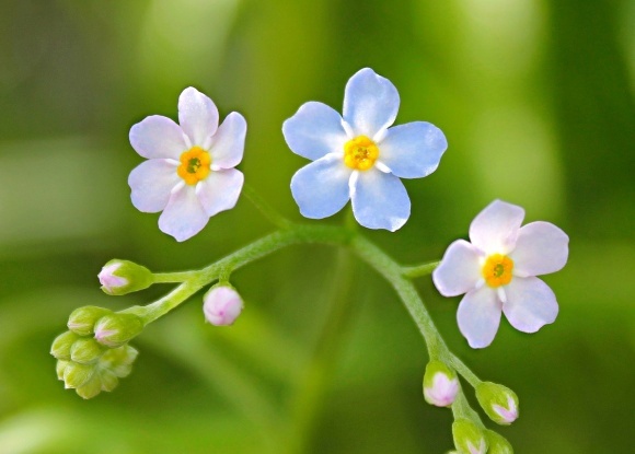 Фотографии автора 