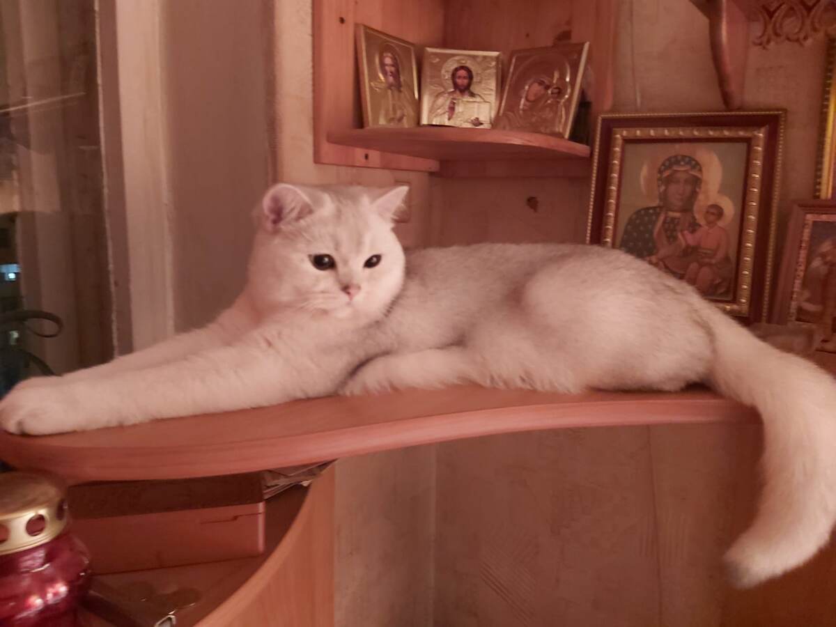 ФОТО ИЗ ЛИЧНОГО АРХИВА