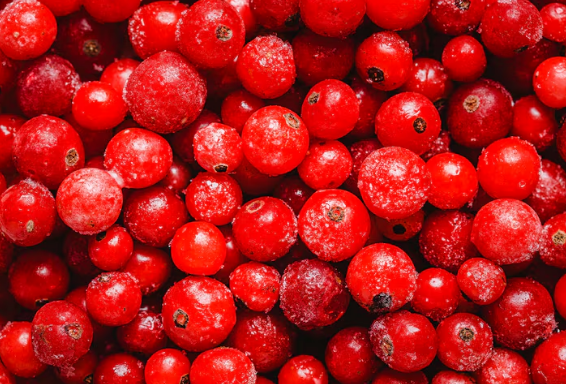 © photo credit by ru.freepik.com