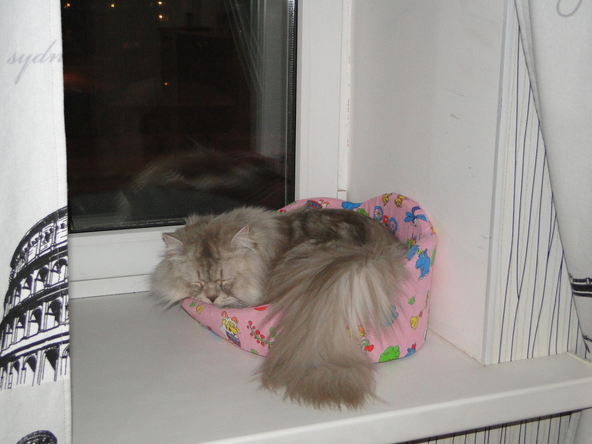 Фото из личного архива