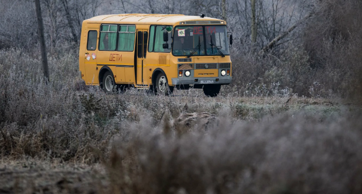 Яндекс картинки