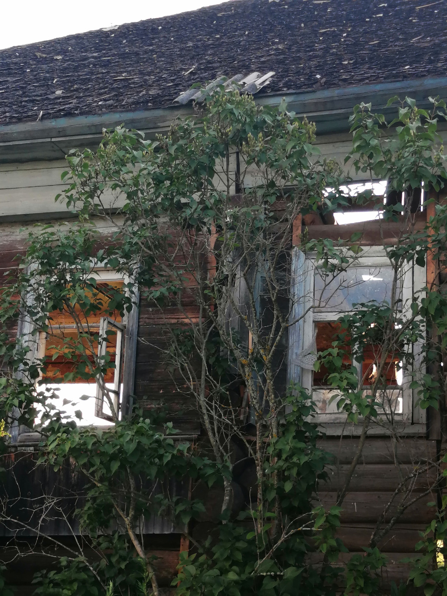 Глаза дома.