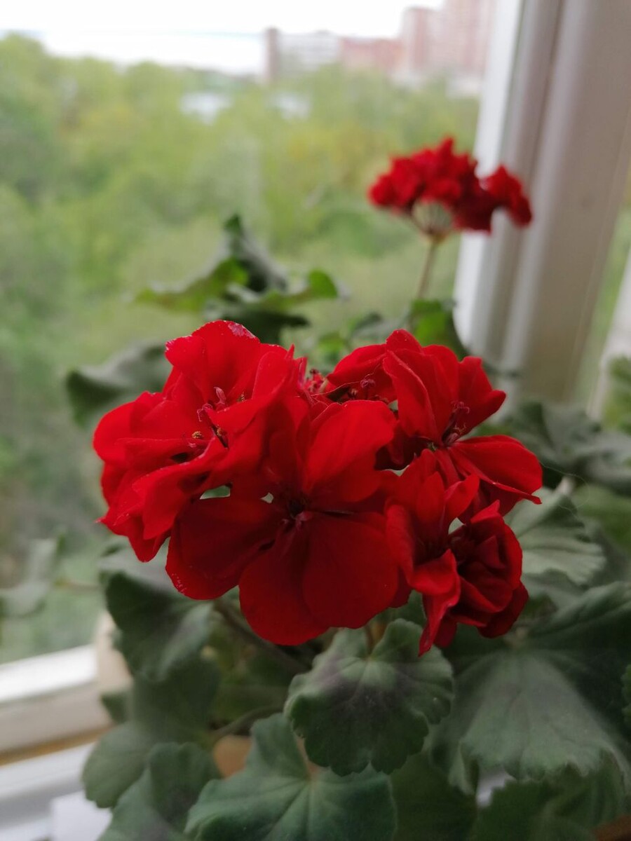 От она! Красотка! ❤