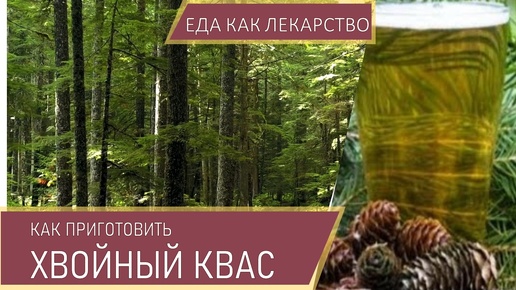 Хвойный квас🌲 - продлевает жизнь в 2 раза! Секрет долголетия🌲 Рецепт кваса. (1)