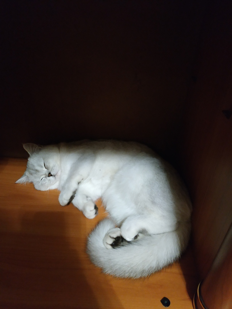 ФОТО ИЗ ЛИЧНОГО АРХИВА