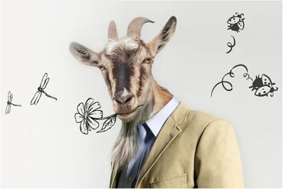 портрет типичного представителя козла