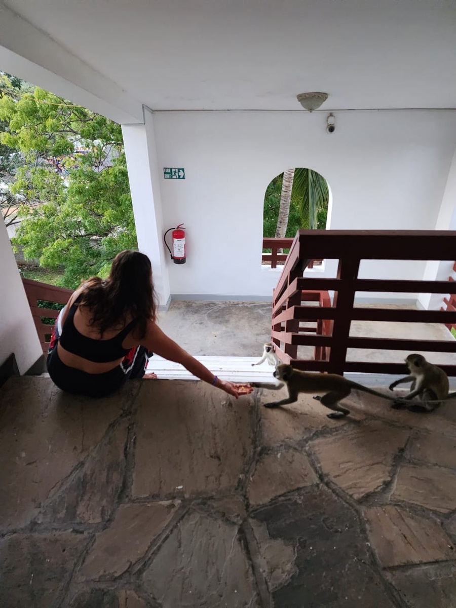 Психология: это про дрессуру, советы или помощь клиенту в познании себя?