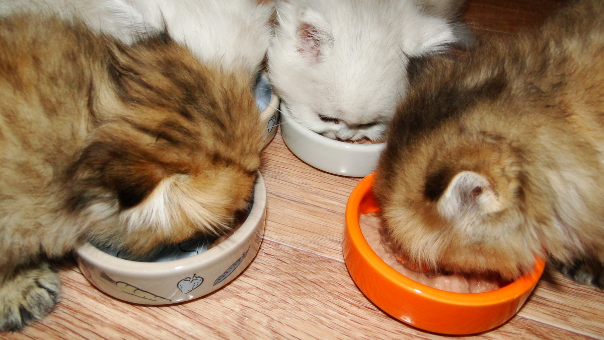 ФОТО ИЗ ЛИЧНОГО АРХИВА