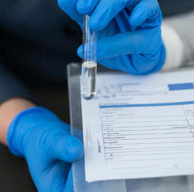 ©The photo was created using Giga.Chat