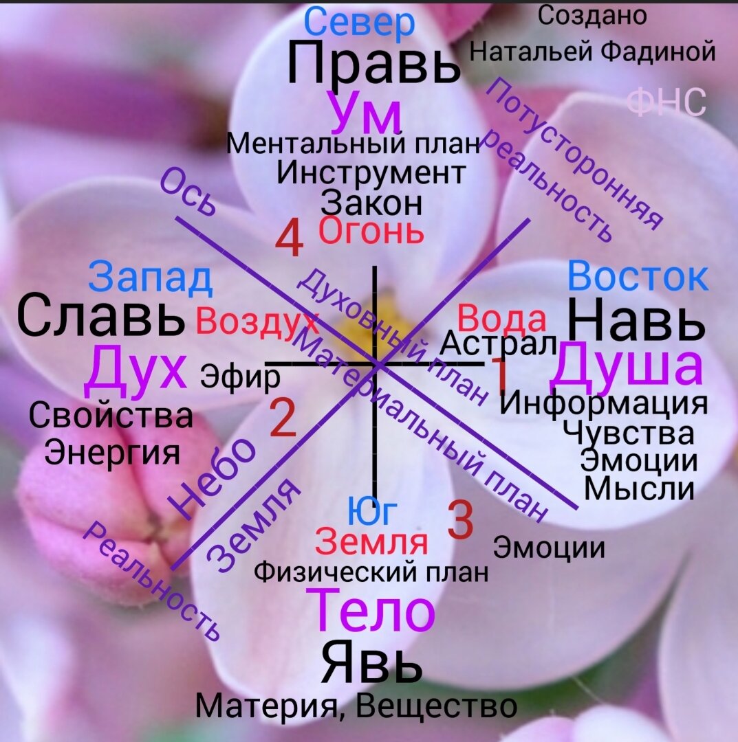 Моя Клёвая Вера и цветок мироздания.