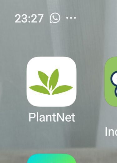 У дяденьки было вот это! 