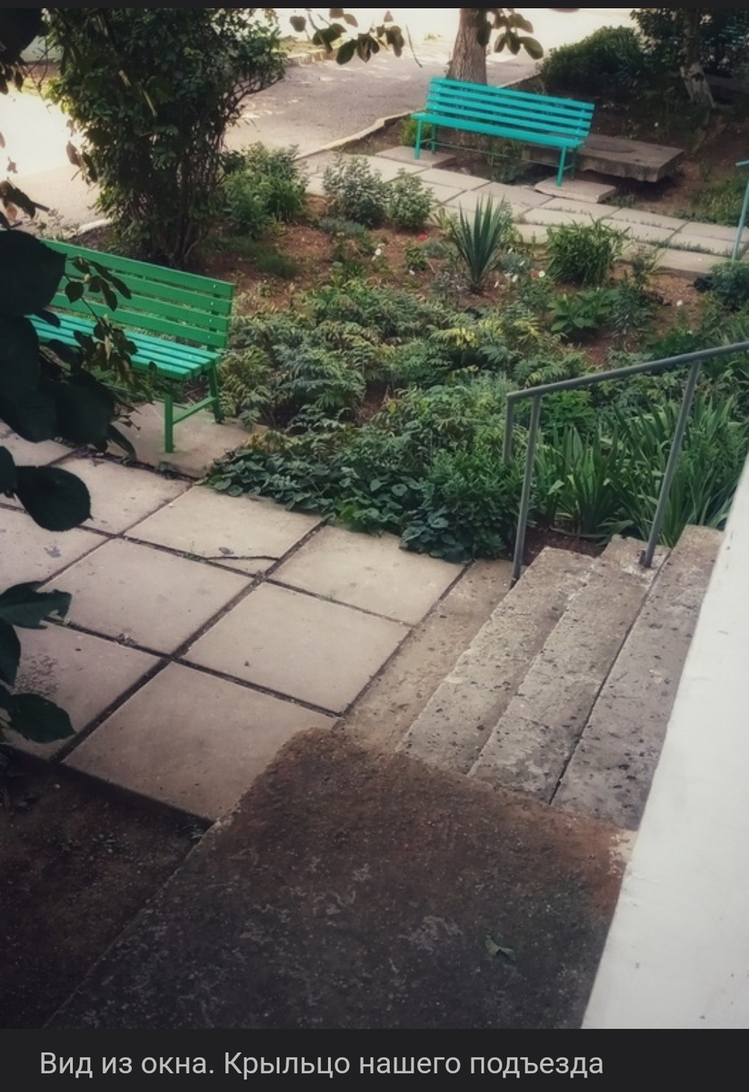 Вид из нашего окна,  крыльцо нашего подъезда