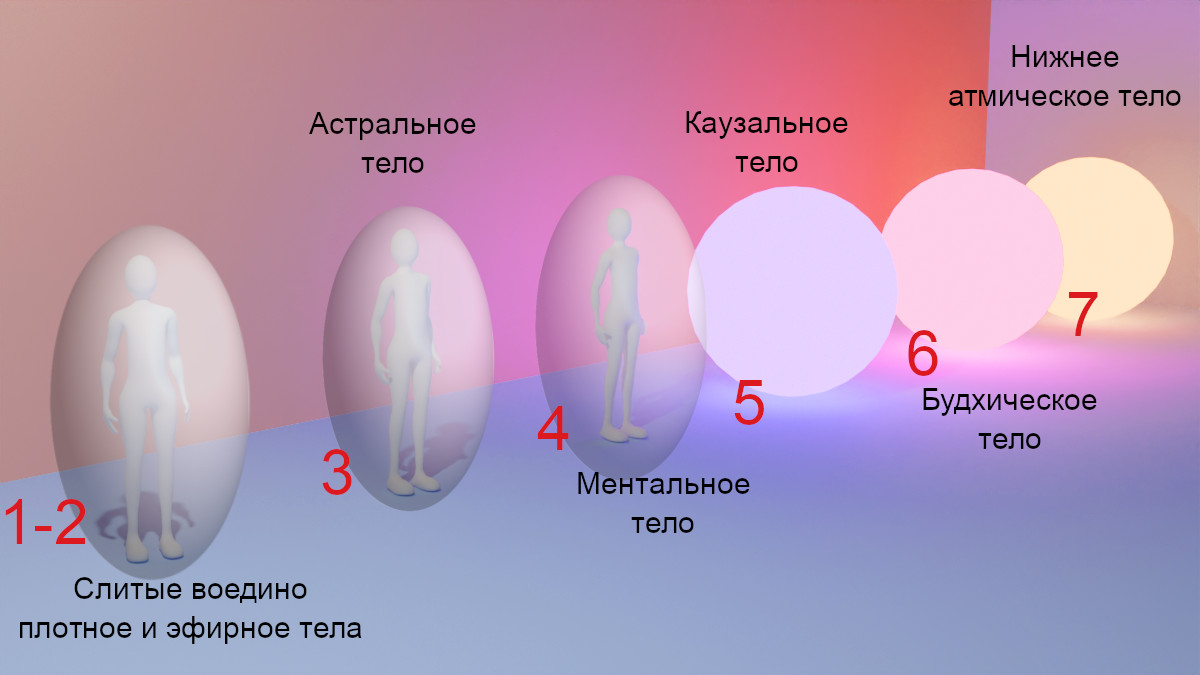21. Семь тел человека (создано автором Петром М)