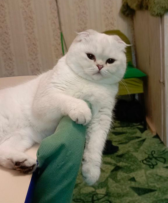 Фото из личного архива