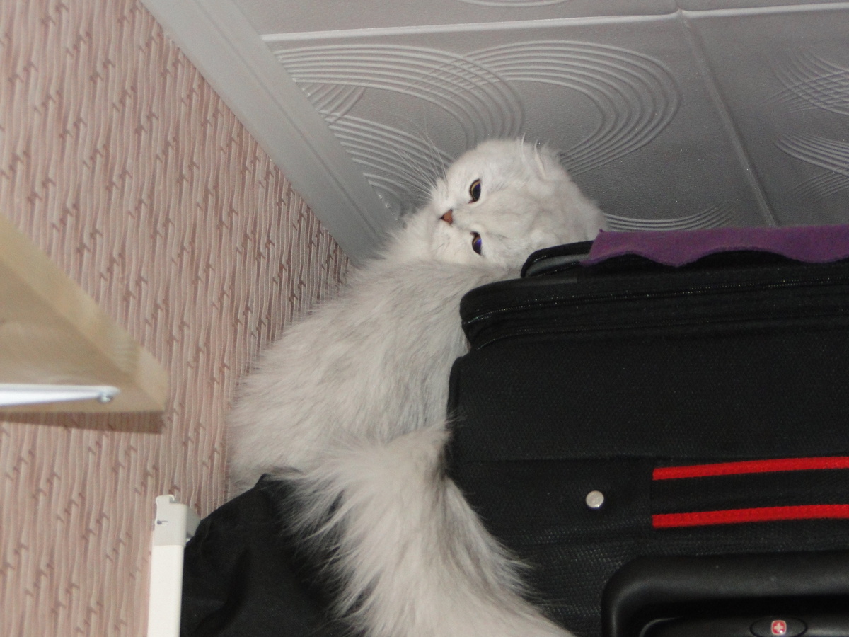 Фото из личного архива