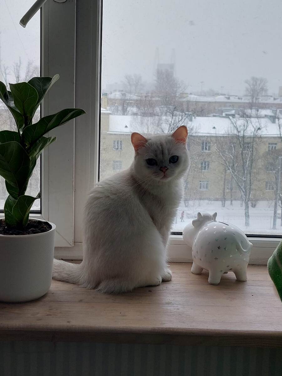 ФОТО ИЗ ЛИЧНОГО АРХИВА