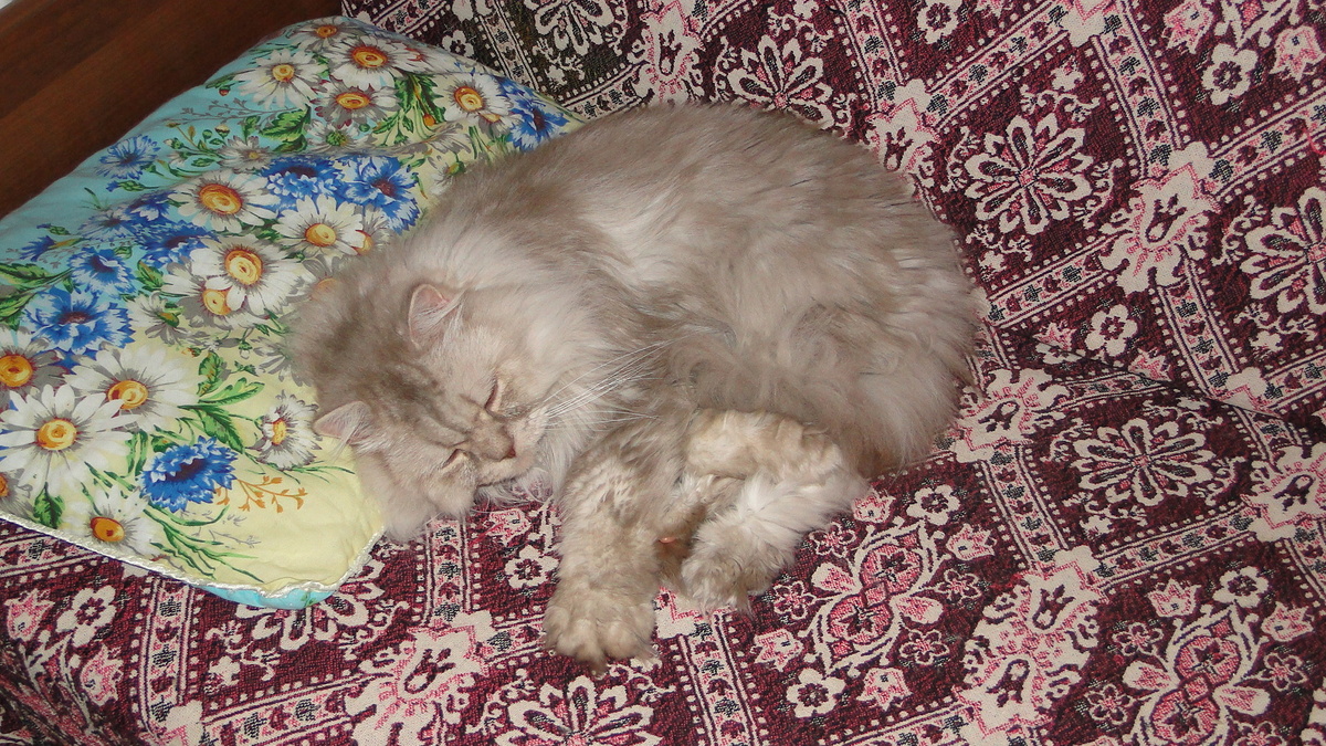 Фото из личного архива