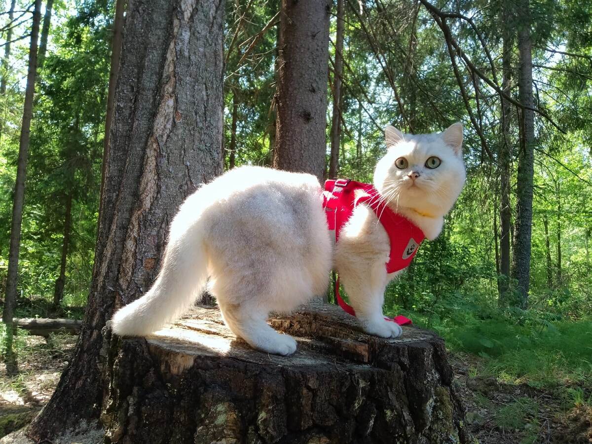 ФОТО ИЗ ЛИЧНОГО АРХИВА