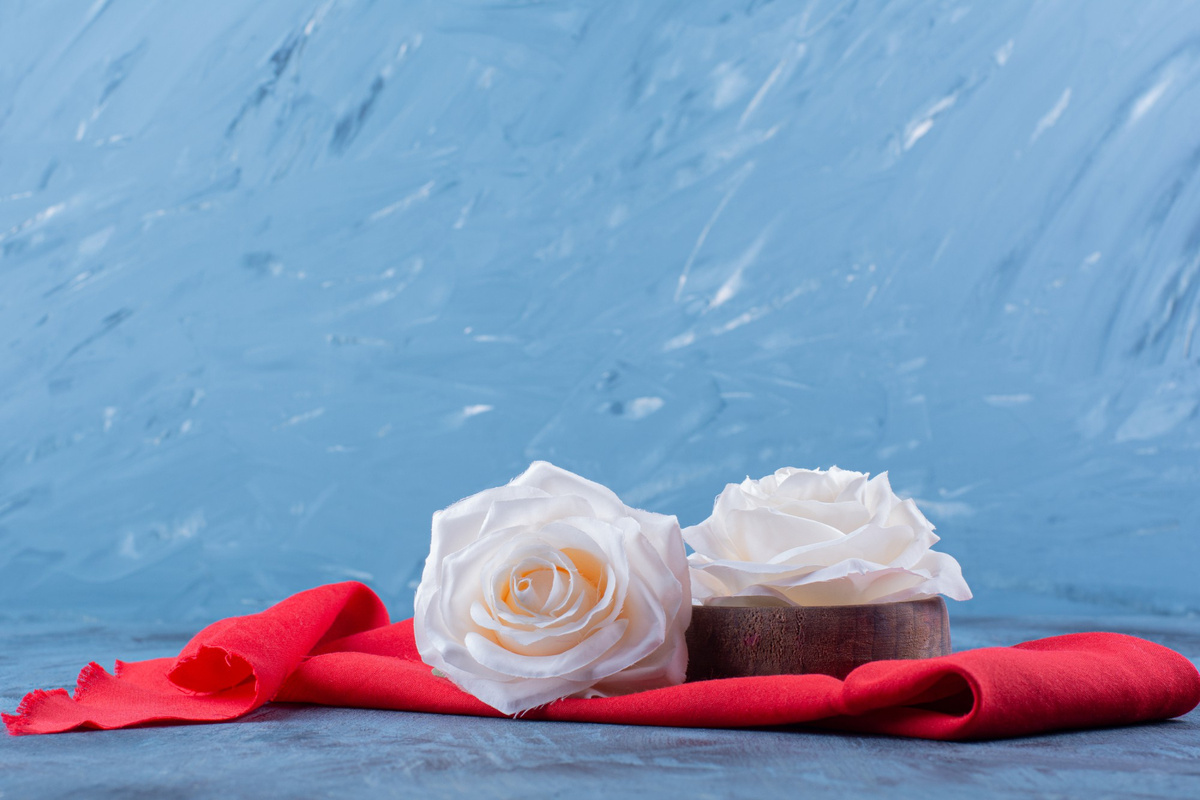 Фото: azerbaijan_stockers /Freepik