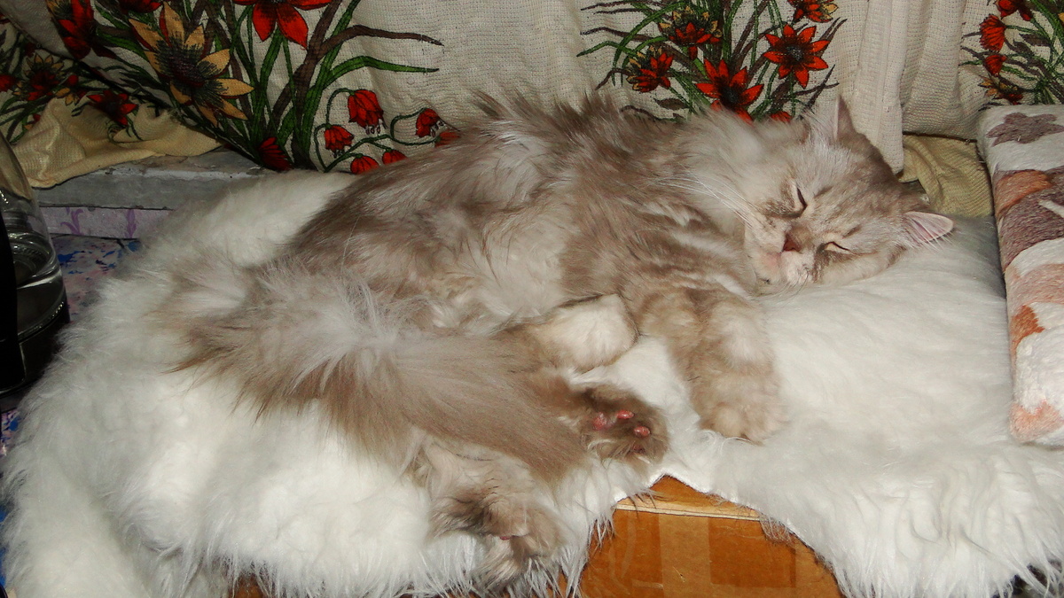 Фото из личного архива