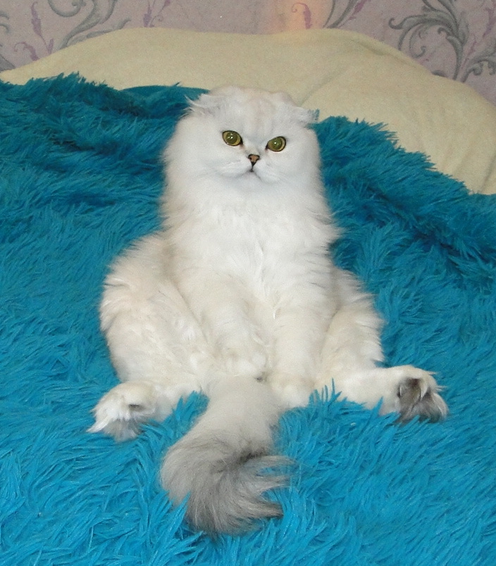 Фото из личного архива