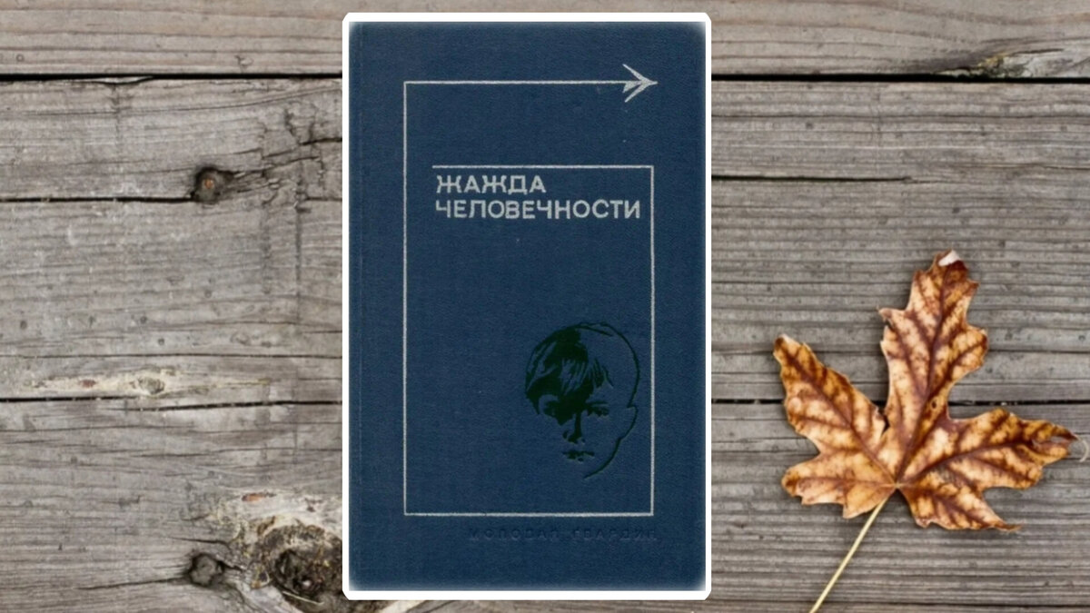 Коллаж автора канала