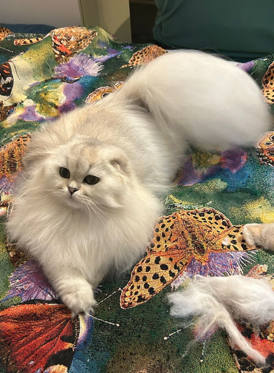 Фото из личного архива