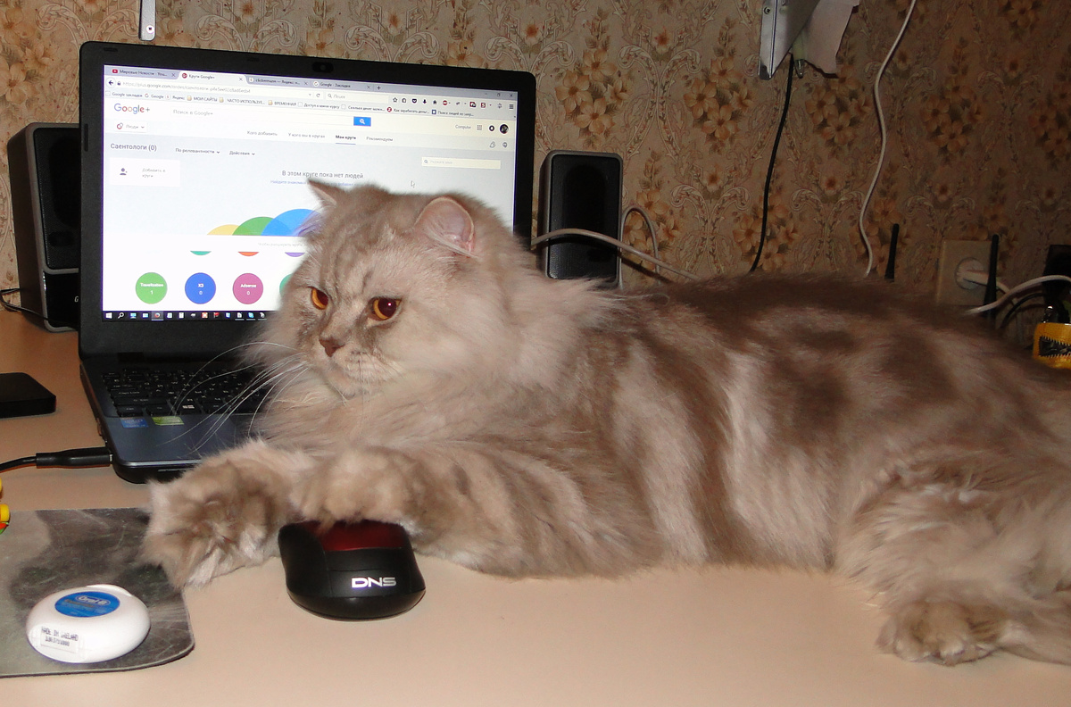 Фото из личного архива