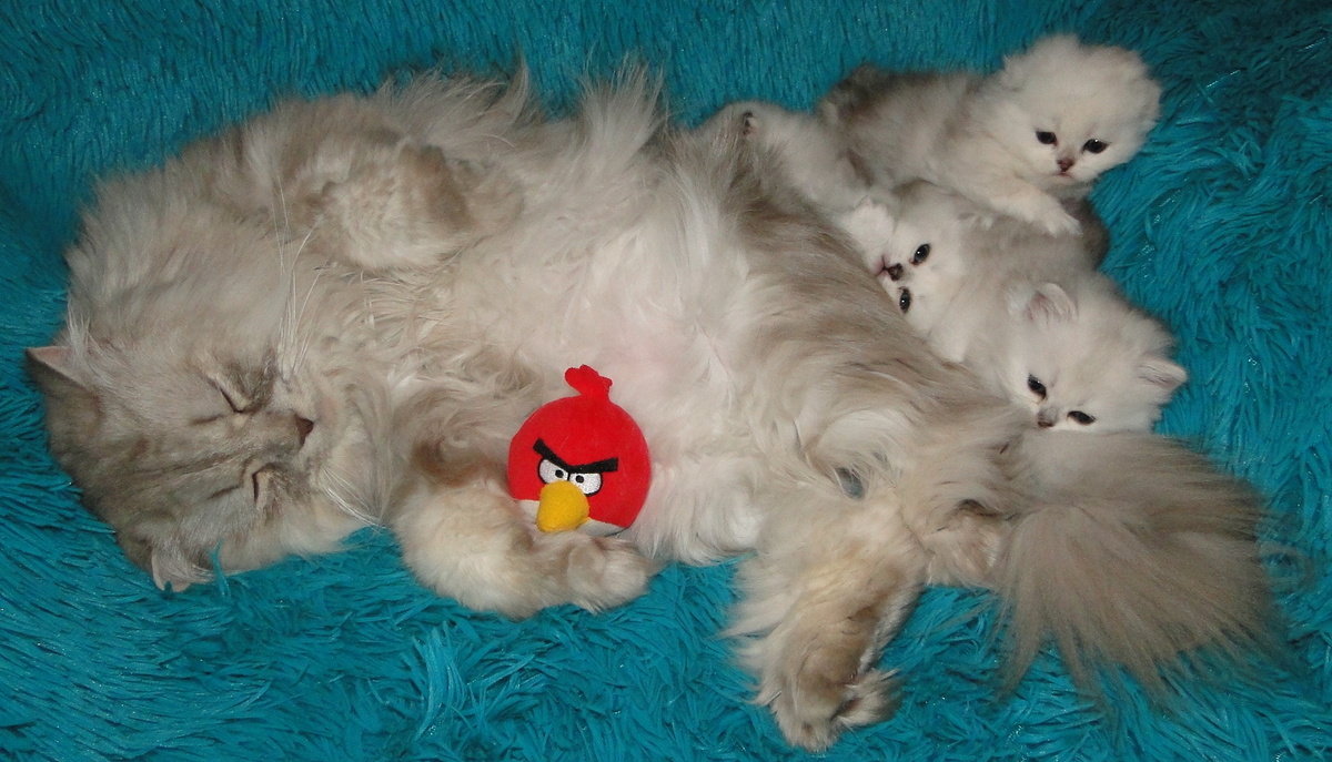 ФОТО ИЗ ЛИЧНОГО АРХИВА