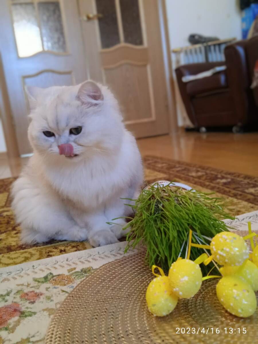 ФОТО ИЗ ЛИЧНОГО АРХИВА