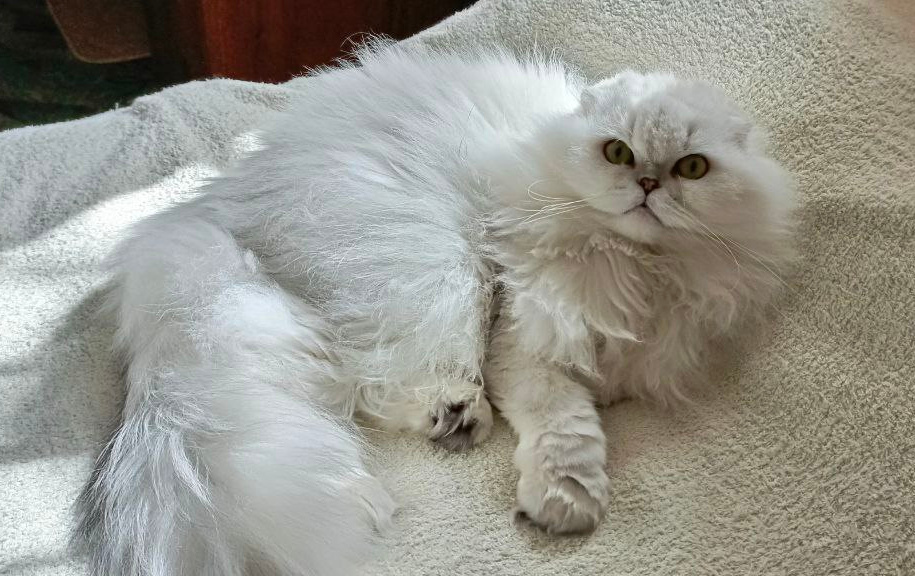 Фото из личного архива