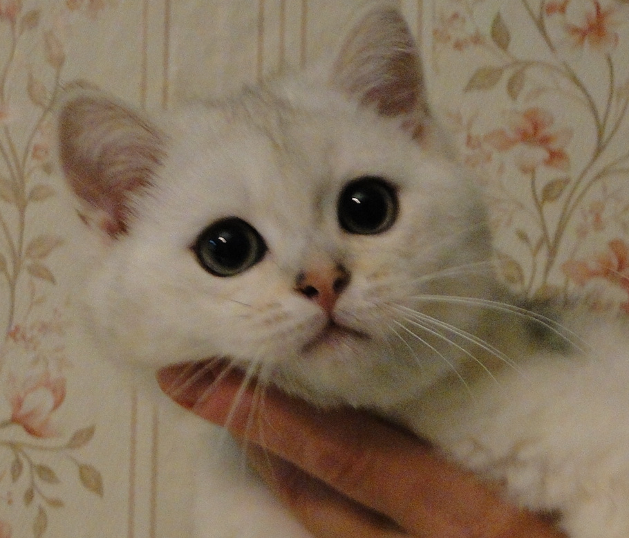 Фото из личного архива