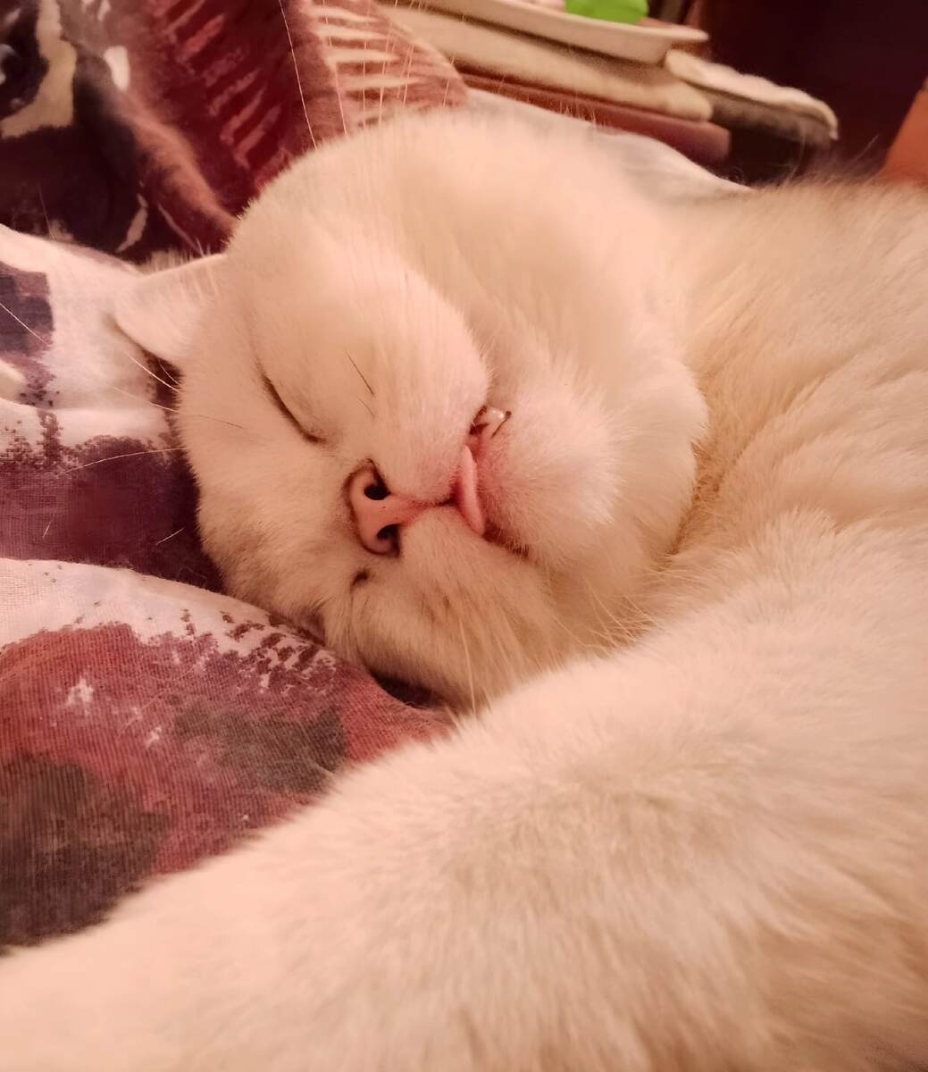 ФОТО ИЗ ЛИЧНОГО АРХИВА