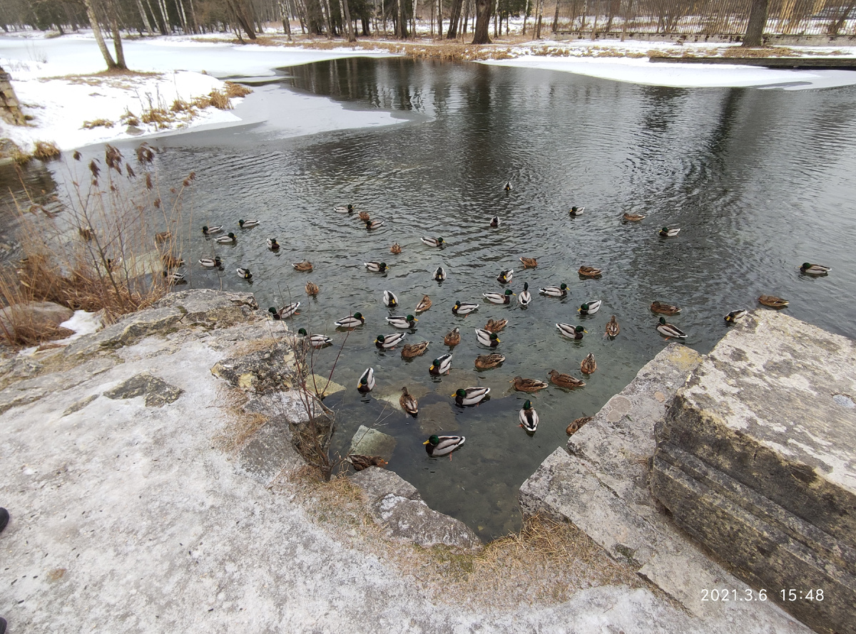 Гатчина. Дворцовый парк