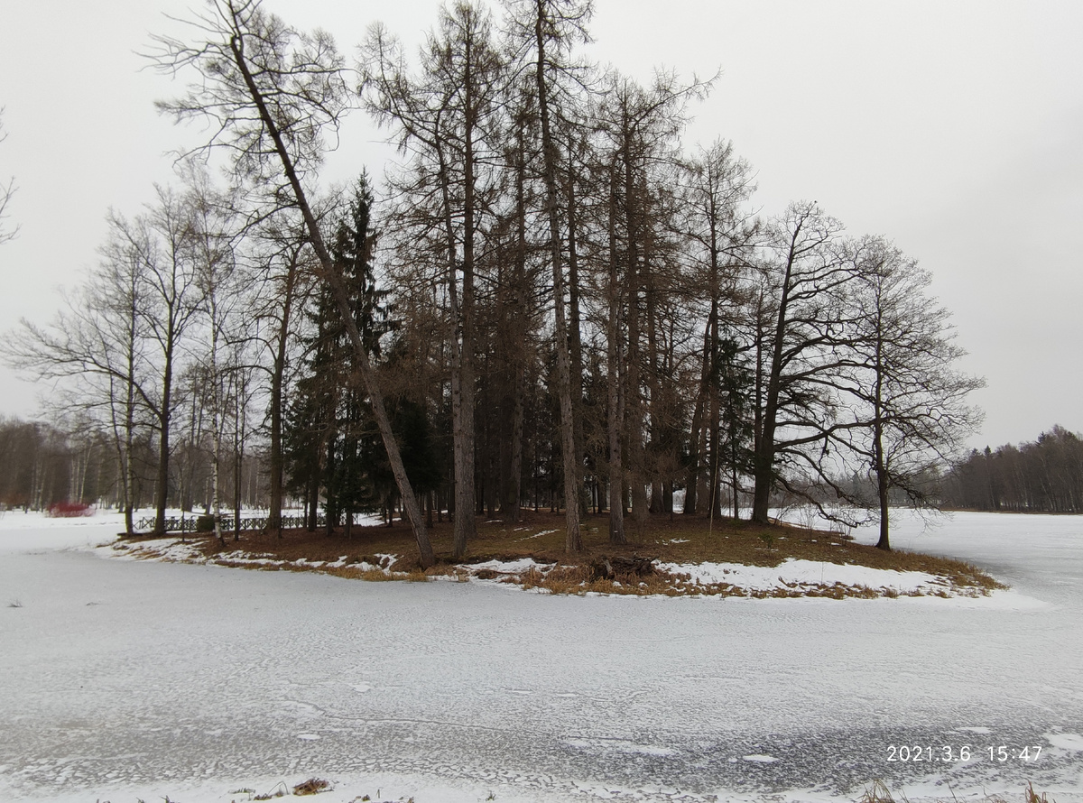 Гатчина. Дворцовый парк