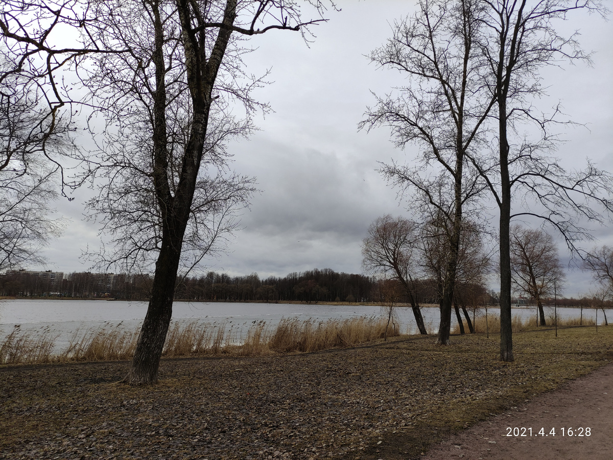 Колпино. Ижорский пруд. 