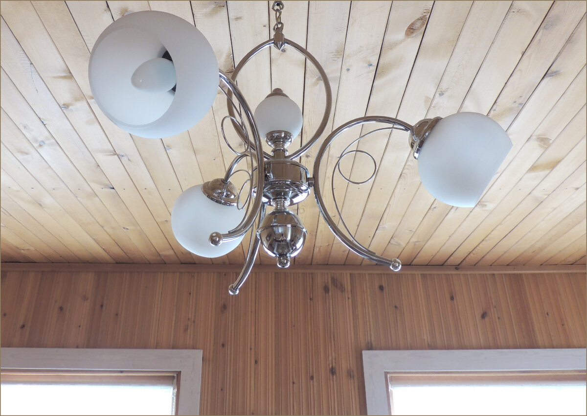 Фото автора статьи.