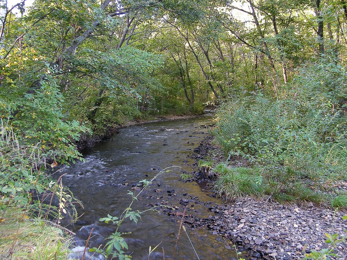 Источник: wikipedia.org Автор: AndshelCC BY-SA 3.0 