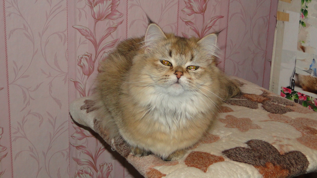 Фото из личного архива