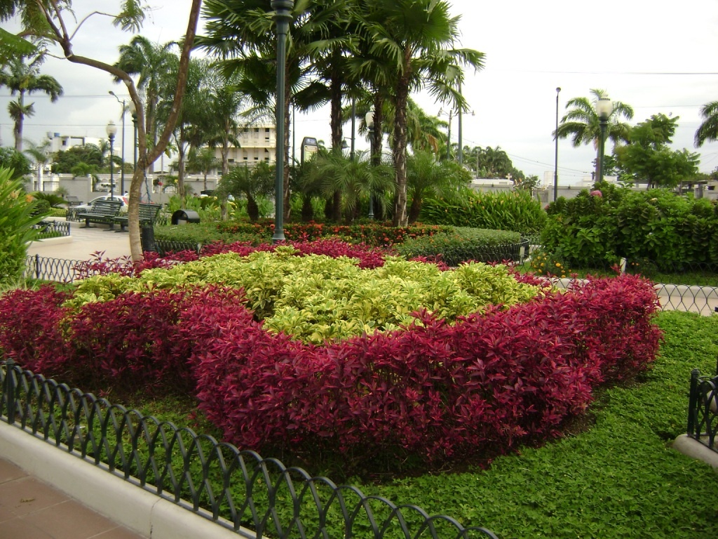 Сквер в городе Мачала (Эквадор).Фото автора.