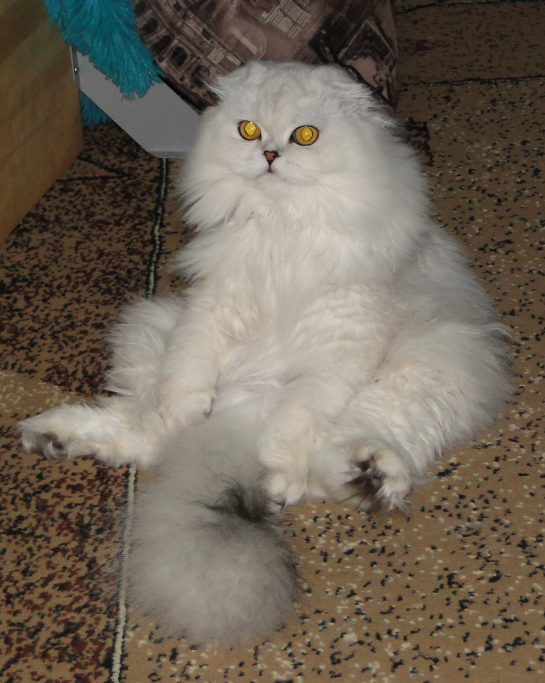 Фото автора