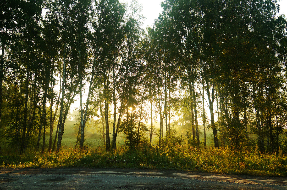 Фото Автора