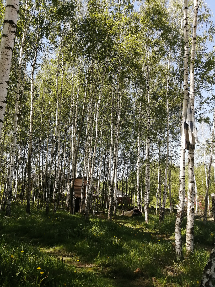 Не дача. Ещё метров 600...