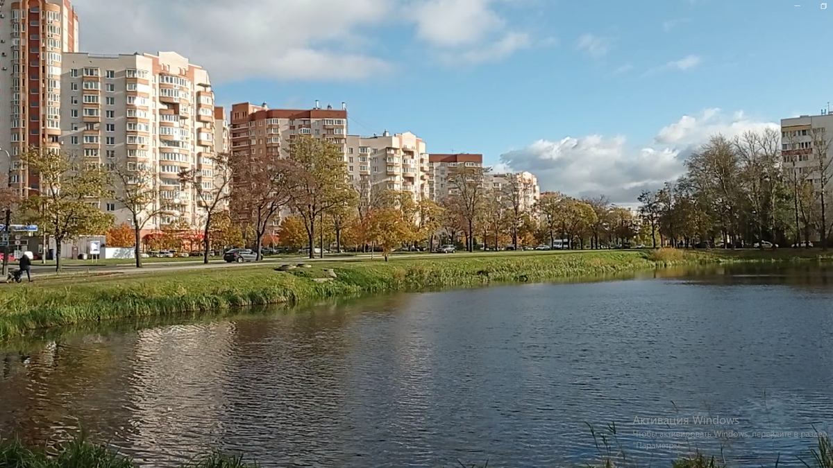 Екатерининский проспект в Петербурге и пруд бывшего поселка Дачное.