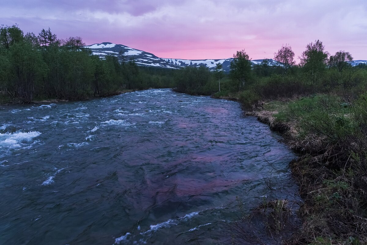 Источник: wikipedia.org Автор: Natalia Beshkareva CC BY-SA 4.0 