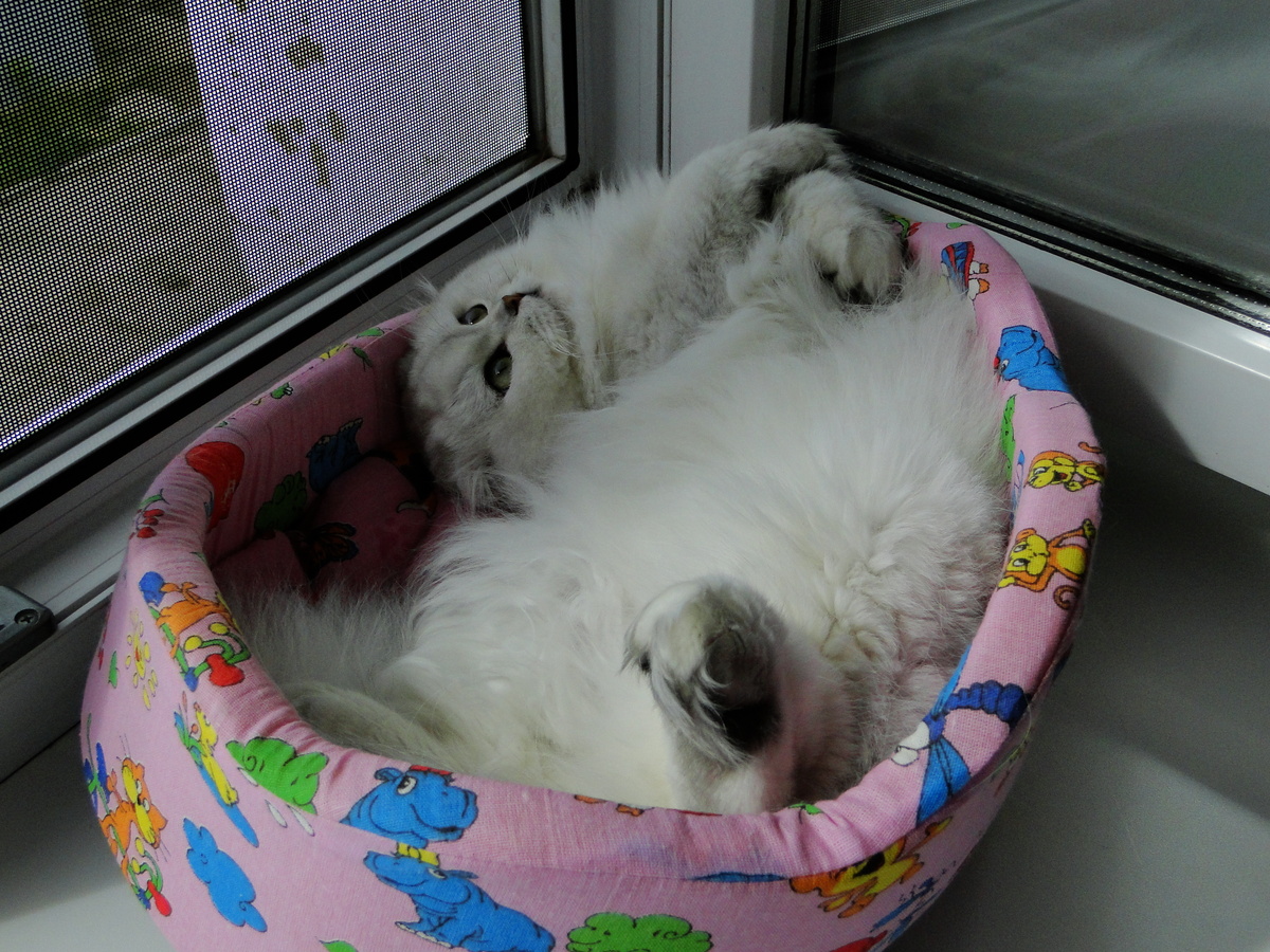 ФОТО ИЗ ЛИЧНОГО АРХИВА