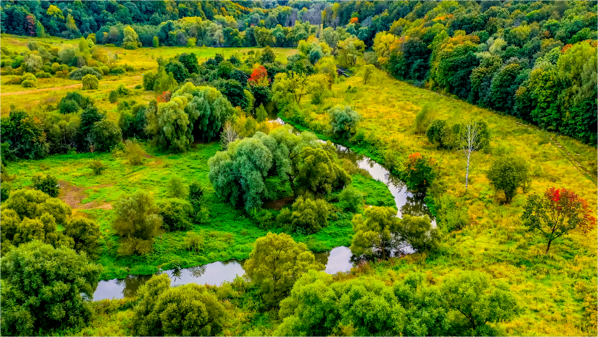 Фото Ильи Труханова. Куркино