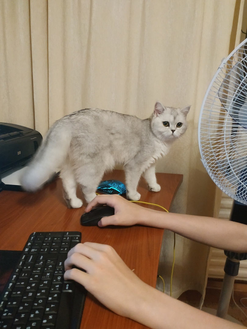 ФОТО ИЗ ЛИЧНОГО АРХИВА